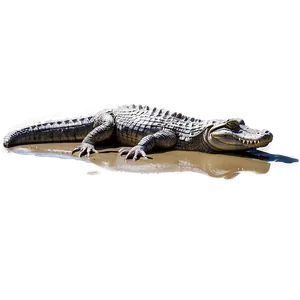 Alligator In Mud Png 69 PNG image