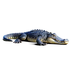 Alligator In Water PNG Fcu64