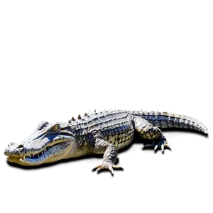 Alligator In Water PNG Wvh83