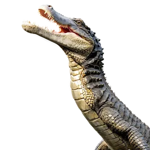 Alligator Roaring PNG Txc98