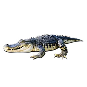 Alligator With Babies PNG 41 PNG