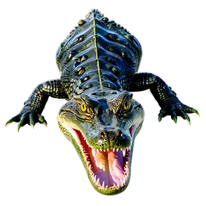 Alligator With Babies PNG 43 PNG