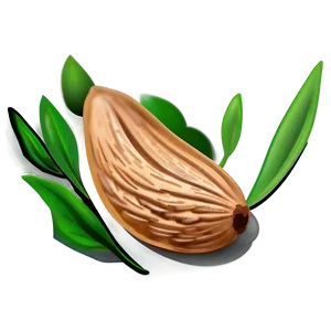 Almond Cartoon PNG 34