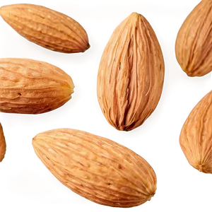 Almond Close-up PNG Fkl37