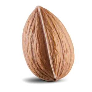 Almond Close-up PNG Rbn86