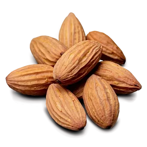 Almond Collection PNG 05242024 PNG