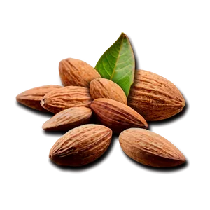 Almond Collection PNG Kos PNG