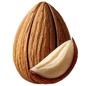 Almond Collection PNG Muo8 PNG