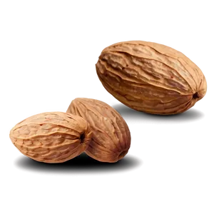 Almond Drawing PNG 74 PNG