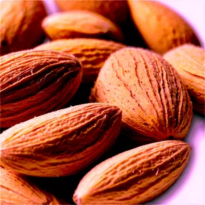 Almond Flour PNG 21