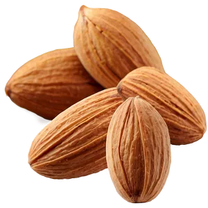 Almond Group PNG 05242024