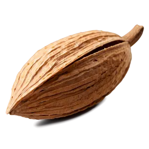 Almond In Shell PNG 67 PNG
