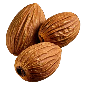 Almond Kernel PNG Sjc87 PNG