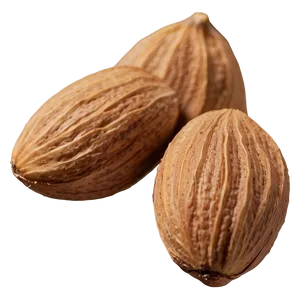 Almond Nut Png 06122024 PNG image