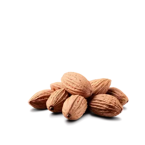 Almond Nut Png 48 PNG image