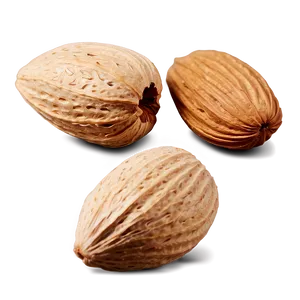 Almond Nut PNG Ayl
