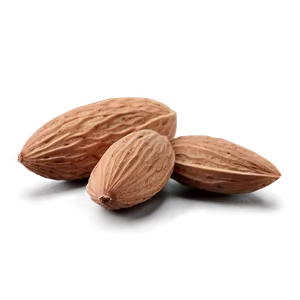 Almond Nut PNG Fyy
