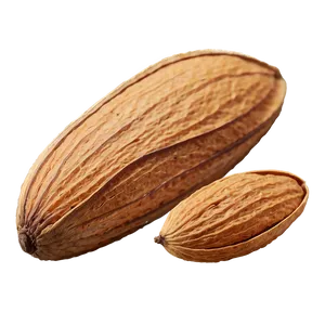 Almond Nut PNG Ofo15