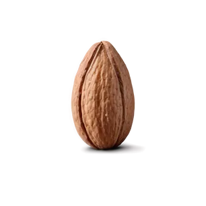 Almond On White PNG 05242024 PNG