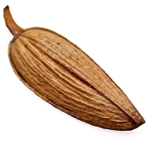 Almond On White PNG Bkq