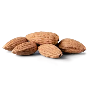 Almond On White PNG Xwd