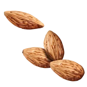 Almond Pattern PNG 65 PNG