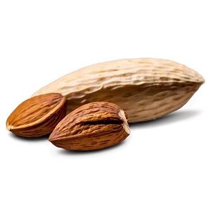 Almond Piece PNG 05242024