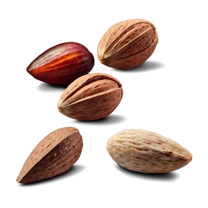 Almond Piece PNG 72