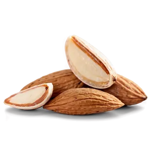 Almond Piece PNG Yxi