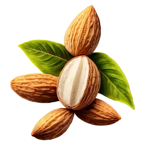 Almond Plant PNG 29 PNG