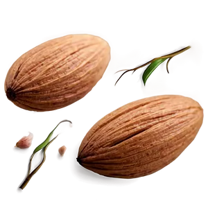 Almond Set PNG Nlo87 PNG