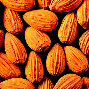 Almond Shell PNG Bko52