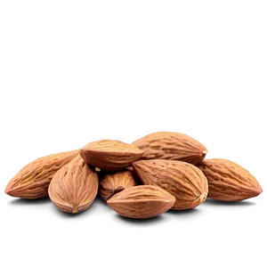 Almond Snack PNG Vvo