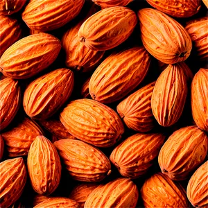 Almond Texture PNG 05242024