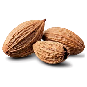 Almond Texture PNG Ulv6