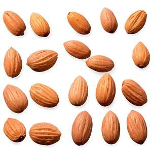 Almond Top View PNG 05242024