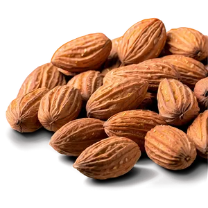 Almond Top View PNG 90