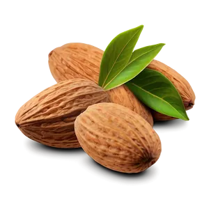 Almond Top View PNG Pcu