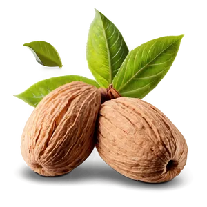 Almond With Leaf PNG 29
