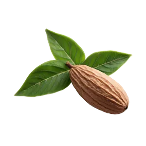 Almond With Leaf PNG Gtf