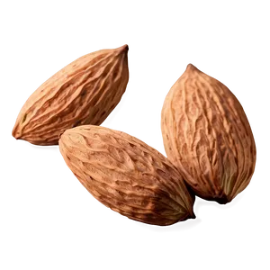 Almond With Leaf PNG Hnt