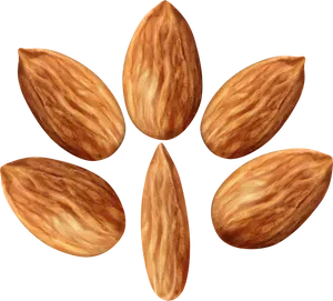 Almonds Cluster Transparent Background