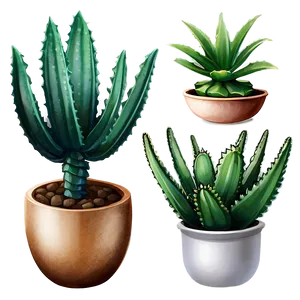 Aloe And Other Succulents PNG Vdt81