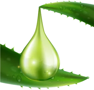 Aloe Vera Gel Drop Illustration PNG image