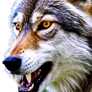 Alpha Wolf Face Leadership Emblem PNG 75 PNG