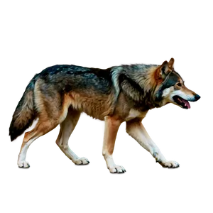 Alpha Wolf In Action Png Tfe PNG image