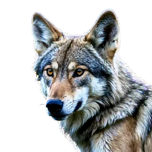 Alpha Wolf In Mystic Forest PNG 06292024 PNG
