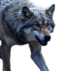 Alpha Wolf In Snowstorm PNG 06292024
