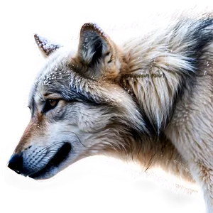 Alpha Wolf In Snowstorm PNG 06292024