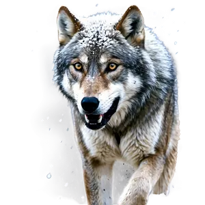 Alpha Wolf In Snowstorm PNG 98